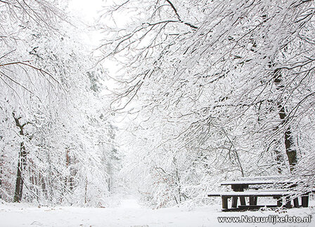 Winter kaarten | Ansichtkaarten winter