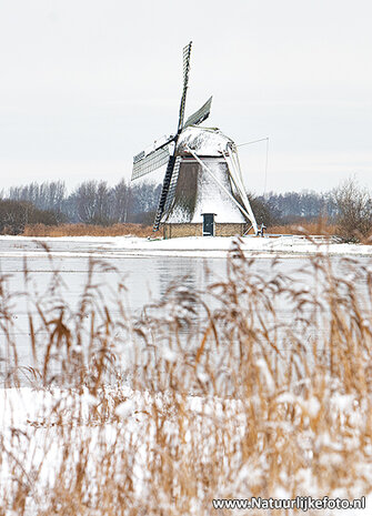 Winter kaarten | Ansichtkaarten winter