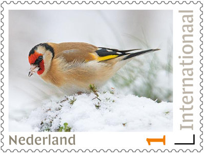 Postzegels voor Postcrossing - Putter