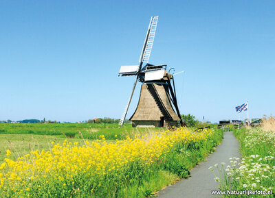 ansichtkaart Wommels - Aylvapoldermolen