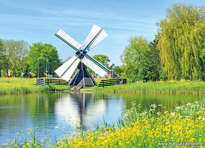 ansichtkaart Franeker - molen Arkens