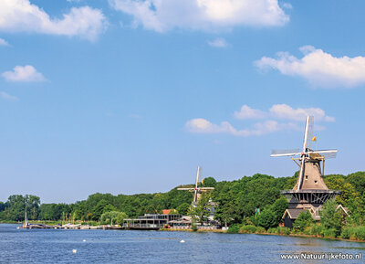 ansichtkaart Rotterdam - molens aan de Kralingse Plas