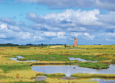 ansichtkaart Burgh-Haamstede - Plompe toren