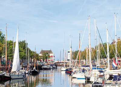 Ansichtkaart Harlingen