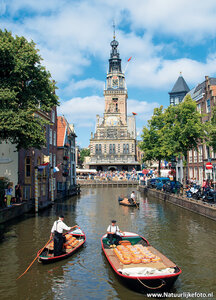 Ansichtkaarten Alkmaar| kaasmarkt met de waag kaart