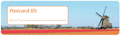 Postrossing postcard ID stickers - 6x molen met tulpen