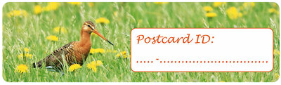 Postcard ID sticker Grutto