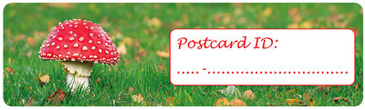 Postcard ID sticker paddestoel