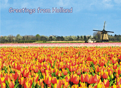 Greetings from Holland