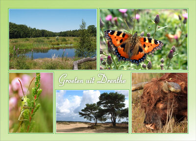 ansichtkaart groeten uit Drenthe