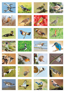 Vogel stickers, stickervellen met vogels