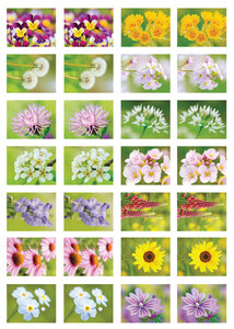 Beloningsstickers bloemen - 28 stickers op een vel