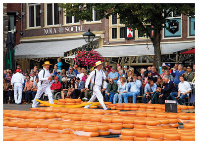 Ansichtkaarten Alkmaar | kaasmarkt Alkmaar ansichtkaart