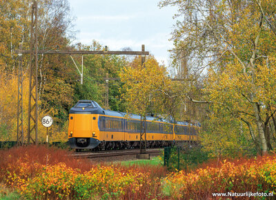 ansichtkaart NS trein in de herfst