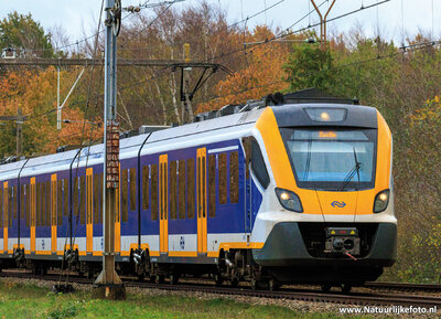 ansichtkaart NS trein in de herfst