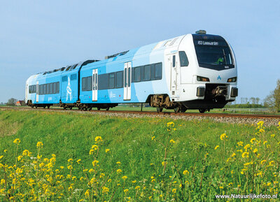 ansichtkaart Arriva trein met bloemen