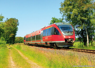 ansichtkaart DB Regio trein