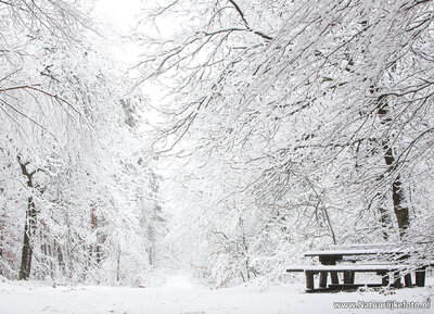 ansichtkaart Picknicktafel in de sneeuw