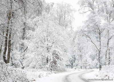 ansichtkaart weggetje in de winter