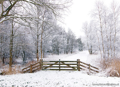 ansichtkaart winterlandschap in de Alde Feanen 