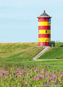 Ansichtkaart vuurtoren Pilsum