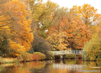 ansichtkaart bruggetje in de herfst