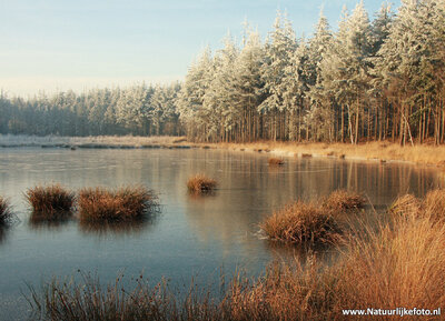 ansichtkaart winterlandschap in Bakkeveen