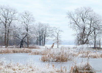 ansichtkaart tjasker Bolleveen in Zeijen