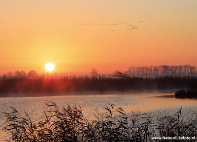 ansichtkaart zonsopkomst de Onlanden