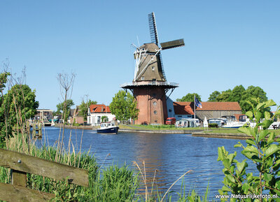 ansichtkaart molen de Zwaluw in Birdaard