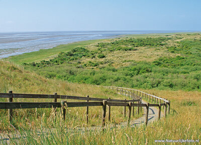 ansichtkaart natuurgebied het Oerd op Ameland