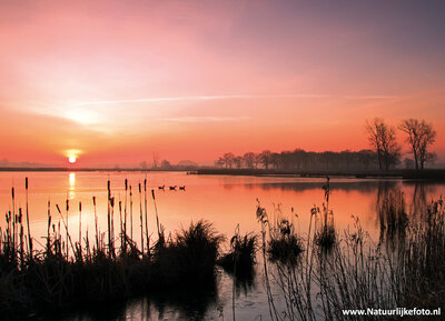 ansichtkaart zonsopkomst Leekstermeer