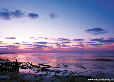 ansichtkaart Waddenzee - werelderfgoed