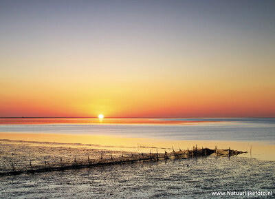 ansichtkaart zonsopkomst Waddenzee