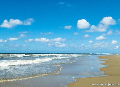 ansichtkaart Noordzee