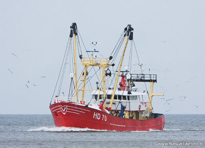 ansichtkaart vissersboot