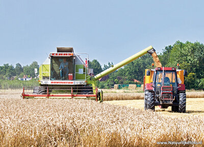 ansichtkaart combine met tractor