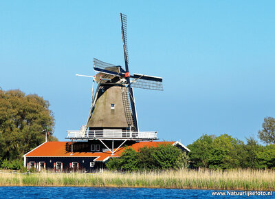 ansichtkaart molen Leonide in Anna Paulowna