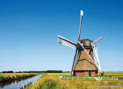 ansichtkaart molen de Dellen in Nieuw-Scheemda