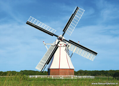 ansichtkaart de Witte Molen in Glimmen