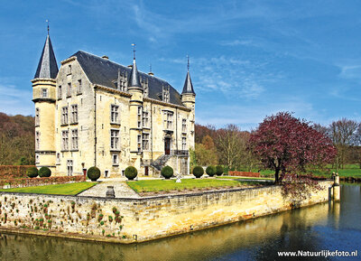 ansichtkaart kasteel Schaloen in Oud Valkenburg