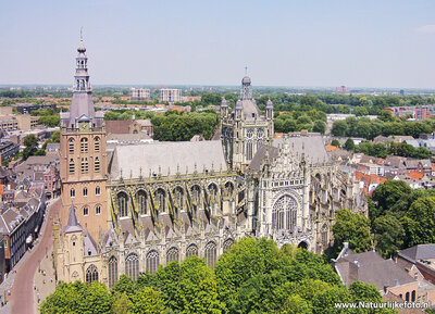 ansichtkaart Den Bosch - Sint Janskathedraal