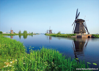 ansichtkaart molens van Kinderdijk