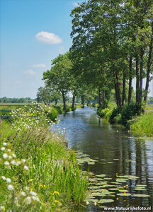 ansichtkaart landgoed Nienoord