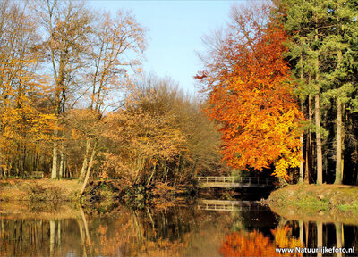 ansichtkaart bruggetje in de herfst