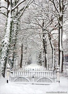 ansichtkaart winterslaantje met hek