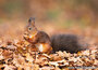 cursus fotografie Drenthe