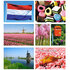 Postcrossing kaarten