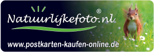 Postkarten-kaufen-online.de